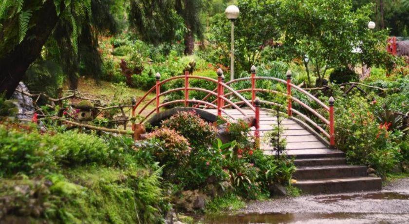 Citylight Hotel Baguio City Bagian luar foto